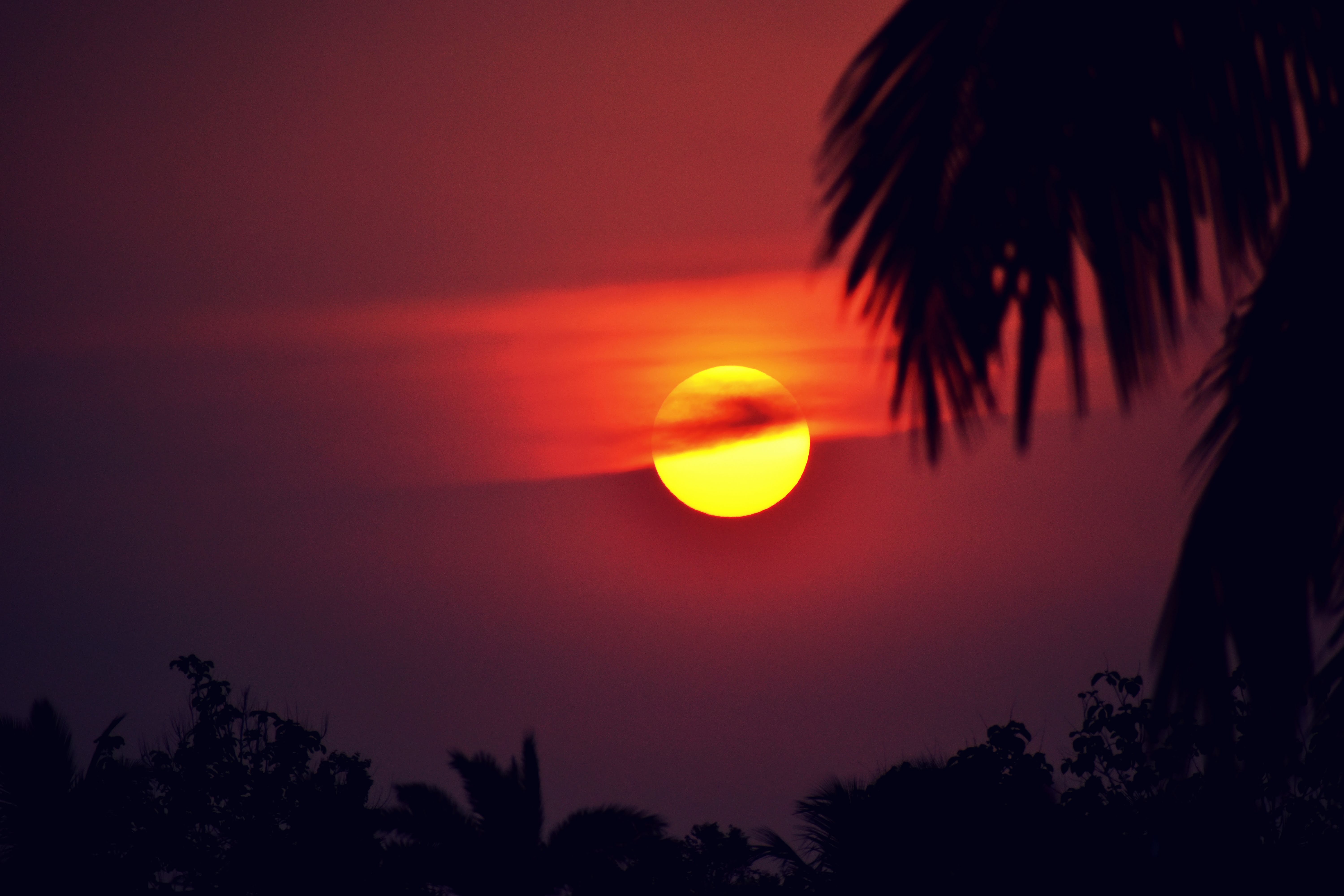 sunset, homepage